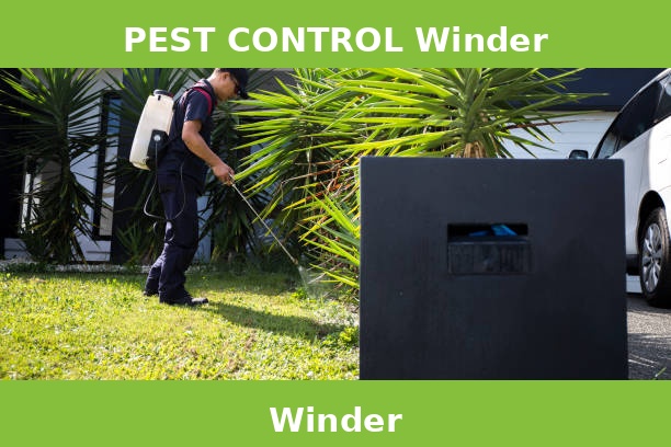 PEST CONTROL Winder